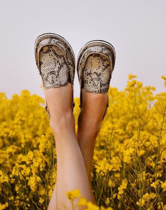 ariat cruiser